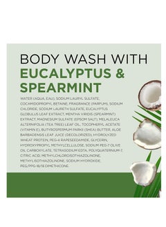 Dr Teal's Body Wash with Pure Epsom Salt, Relax & Relief with Eucalyptus & Spearmint, 24 fl oz (Pack of 4) (Packaging May Vary) - pzsku/Z6EB256E543F65D28CA57Z/45/_/1714461301/002dfdba-9390-49ec-b796-96f2c15f3df0