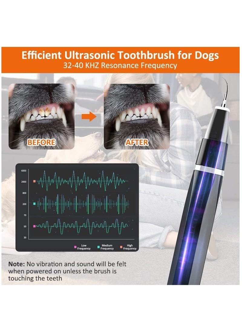 Electric Tooth Polisher with LED Lamp Ultrasonic Cleaner Toothbrush 5 Modes Teeth Cleaning Kit Tartar Remover Stains - Image 4