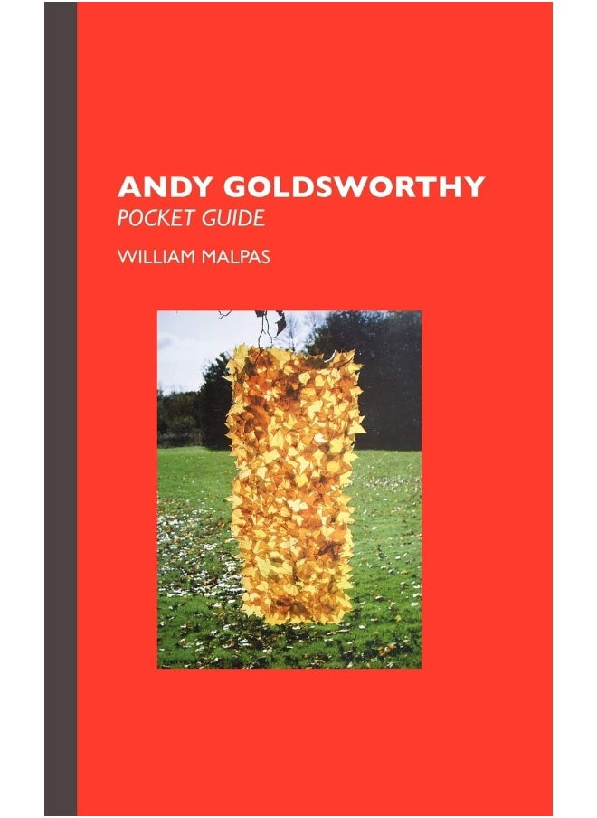 Andy Goldsworthy  - Image 1