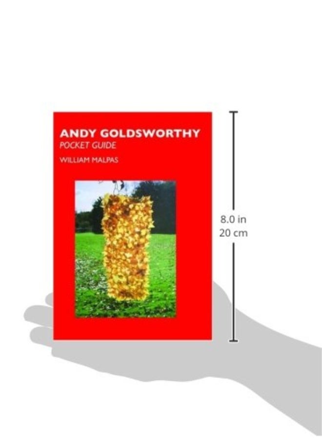 Andy Goldsworthy  - Image 3