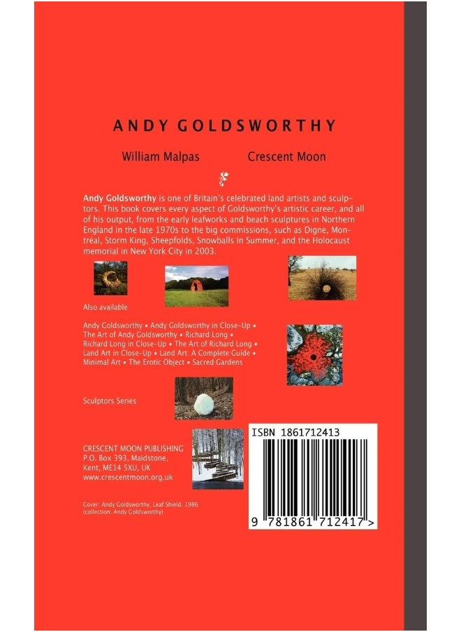 Andy Goldsworthy  - Image 2