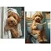 AIBOERL 2 Poodle Pack Diamond Art Kits for AdultsBathroom 5D Diamond Painting Kits for Adults BeginnersDIY Full Round Drill Diamond Dot Painting Gem Art Kits for Adult Home Wall Decor 12x16Inch - Image 2