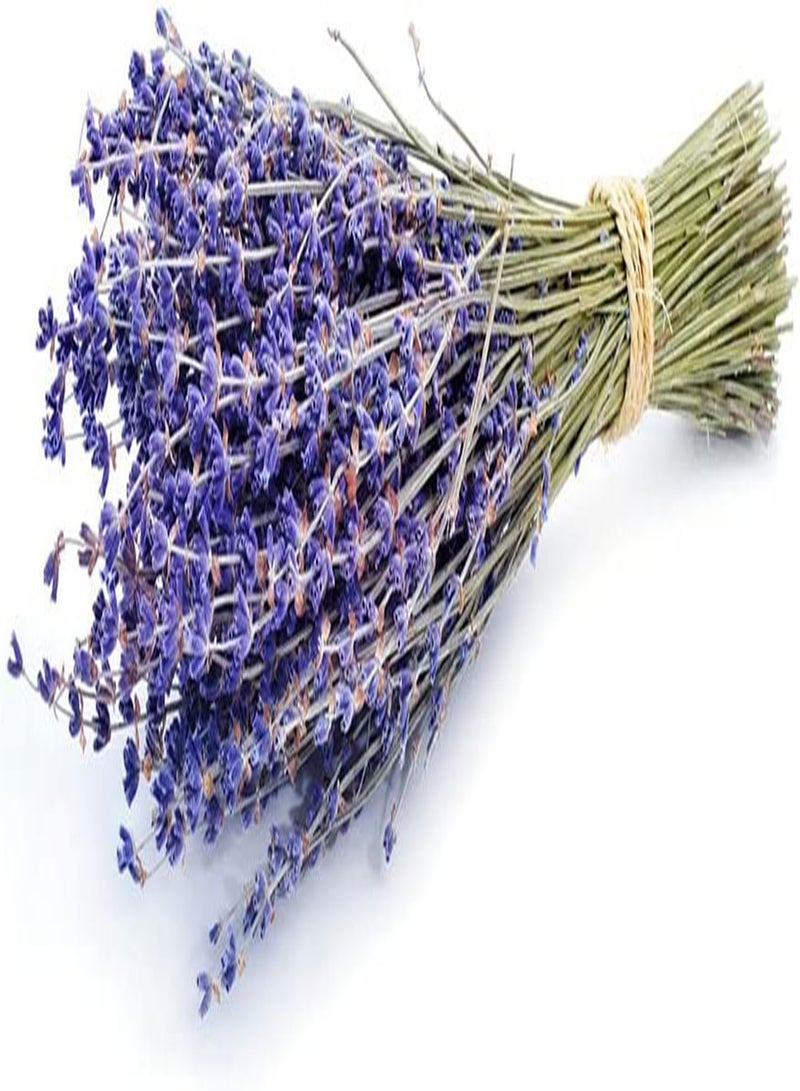 GGOOT 100Pcs Lavender Seeds Special Variety Perennial Non-GMO Heirloom Flower Seed for Planting Bouquet Exhibition Decoration Charming Ornamental - Image 2