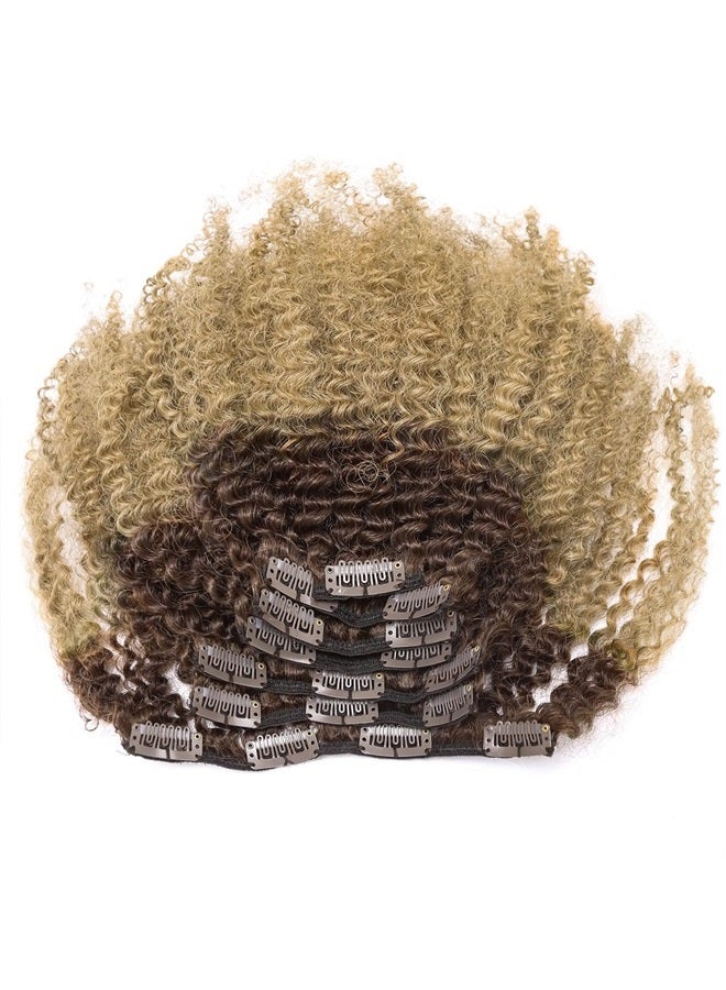 Lacer Hair 4A 4B Afro Kinky Curly Remy Human Hair Extensions Clip in Hair Extension Double Weft Human Hair Two Tone Clip in Curly Hair Off Black Fading to Blonde Strawberry #1B/27 10 Inch