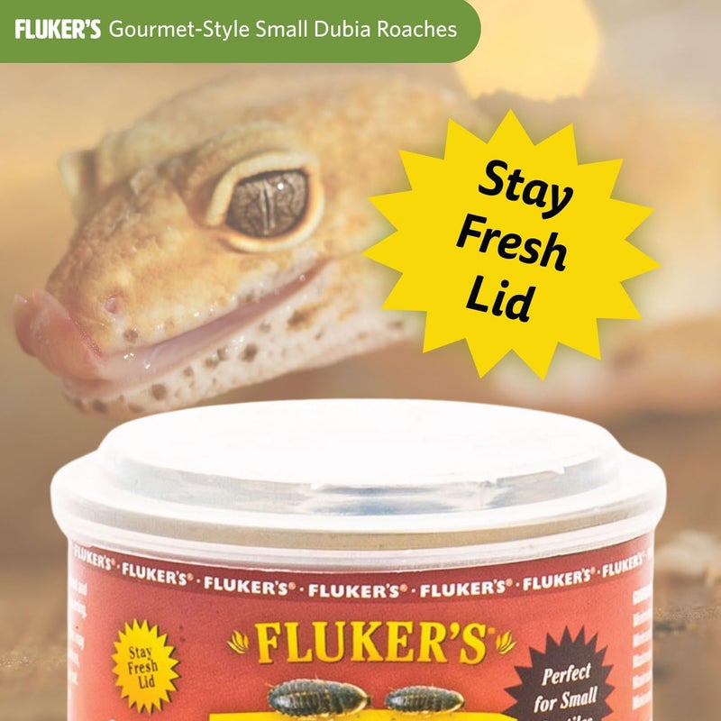 Fluker's Gourmet Canned Food for Reptiles, Fish, Birds and Small Animals, Small Dubia Roaches, 1.2 oz - Image 3