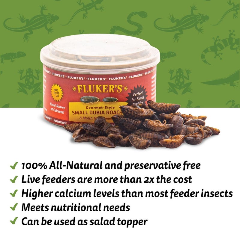 Fluker's Gourmet Canned Food for Reptiles, Fish, Birds and Small Animals, Small Dubia Roaches, 1.2 oz - Image 2