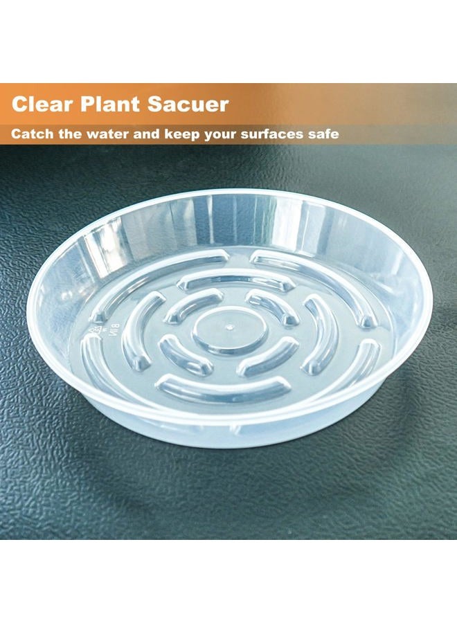 MSKIAUO 6 Packs Plant Saucer, Clear Pot Tray 6 8 10 12 14 Inch Plastic Flower Planter Saucers and Drip Trays for Indoors Outdoors, Heavy Durable Plant Plate Water Catcher (6 Inch) - Image 3