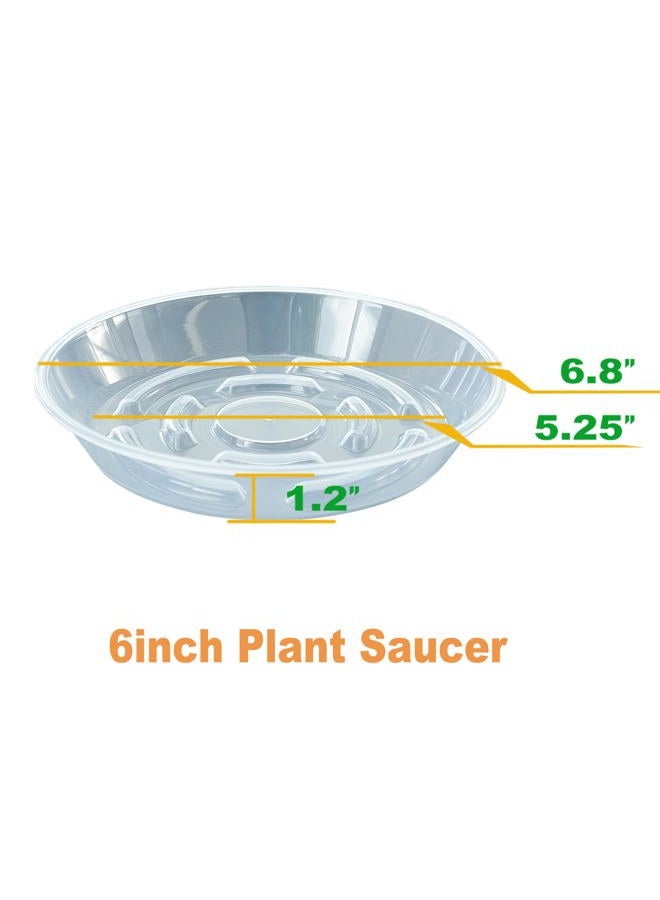 MSKIAUO 6 Packs Plant Saucer, Clear Pot Tray 6 8 10 12 14 Inch Plastic Flower Planter Saucers and Drip Trays for Indoors Outdoors, Heavy Durable Plant Plate Water Catcher (6 Inch) - Image 2