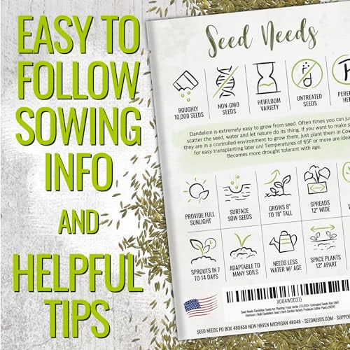 Seed Needs Dandelion Seeds for Planting Fresh Herbs | 10,000+ Untreated Seeds Non GMO Heirloom | Bulk Dandelion Seed | Herb Garden Variety Produces Edible Plants - Image 3