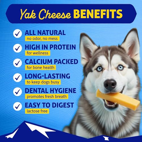 Himalayan Dog Chew Himalayan Cheese Chews | Long Lasting, Stain Free, Protein Rich, Low Odor | 100% Natural, Healthy & Safe | No Lactose, Gluten Or Grains | 3.0 lbs BULK TUB | XLARGE | for s 55 Lbs & Larger - Image 2
