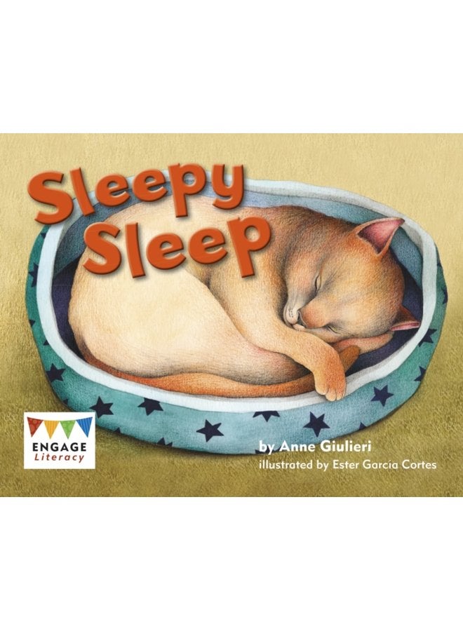 Sleepy Sleep - Paperback