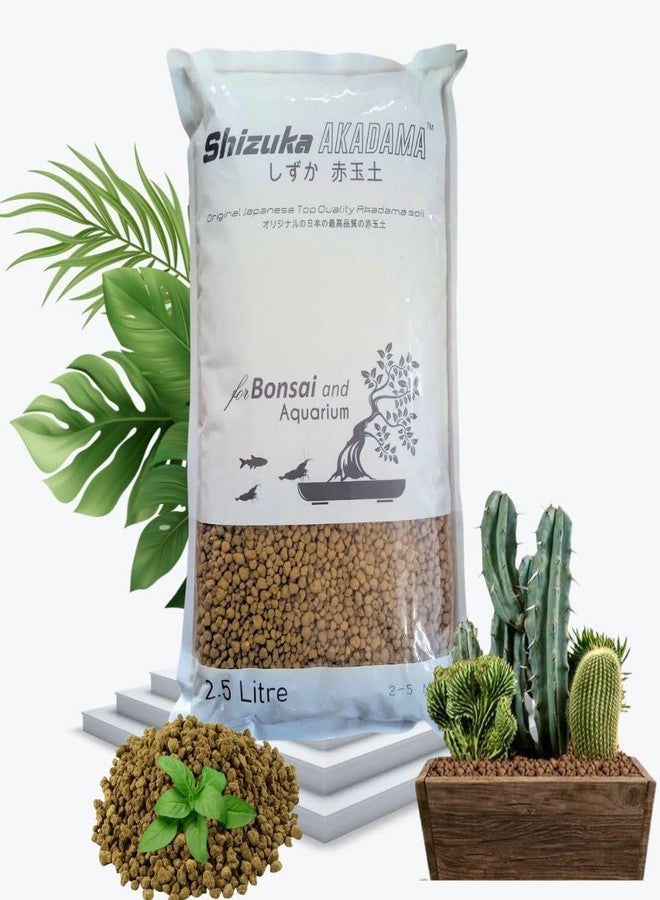 VAYINATO PetzLifeworld Shizuka Akadama Japan Soil for Bonsai, Succulant and Aquarium 2.5 L (Small 2~5 MM) - Image 1