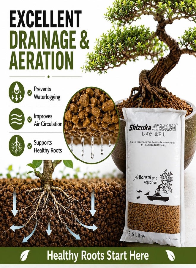 VAYINATO PetzLifeworld Shizuka Akadama Japan Soil for Bonsai, Succulant and Aquarium 2.5 L (Small 2~5 MM) - Image 4