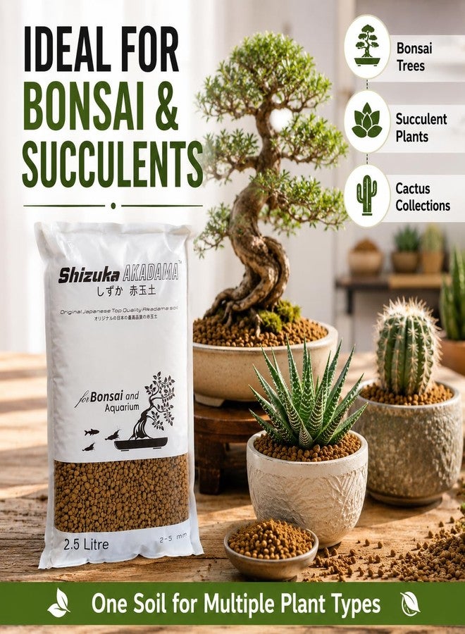 VAYINATO PetzLifeworld Shizuka Akadama Japan Soil for Bonsai, Succulant and Aquarium 2.5 L (Small 2~5 MM) - Image 3