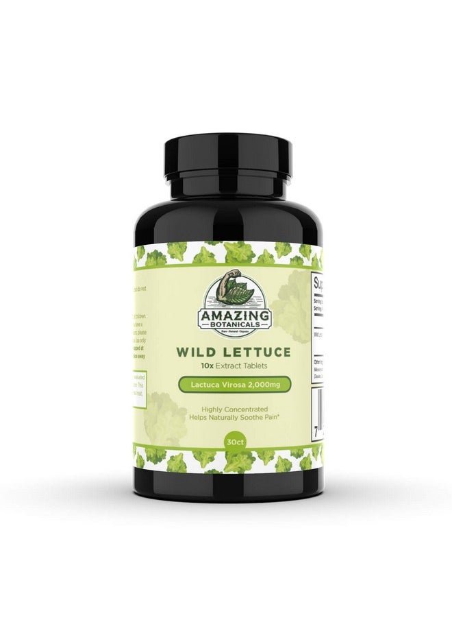 Amazing Botanicals Wild Lettuce Extract Tablets 10X (30 Tablets) 2000Mg Each ; Lactuca Virosa ; Sleep Support ; Helps Naturally Soothe Pain  - Image 2