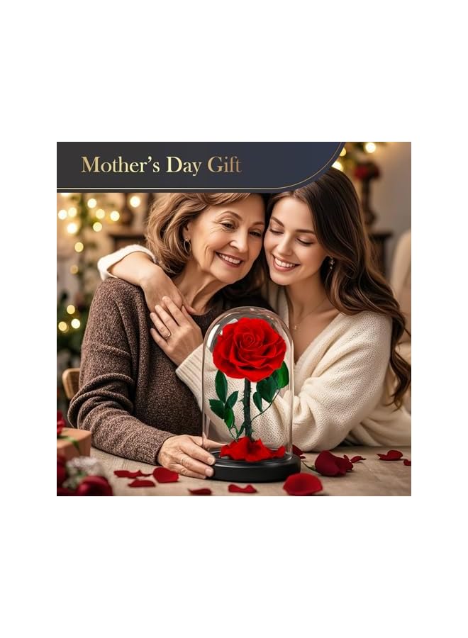 The Bros زهور محفوظة ورود في قبة زجاجية، ورود حقيقية تدوم 5 سنوات، زهور للأبد للتوصيل غداً، هدايا للأمهات، هدايا ذكرى زواج أو عيد ميلاد للنساء، حمراء - Image 3