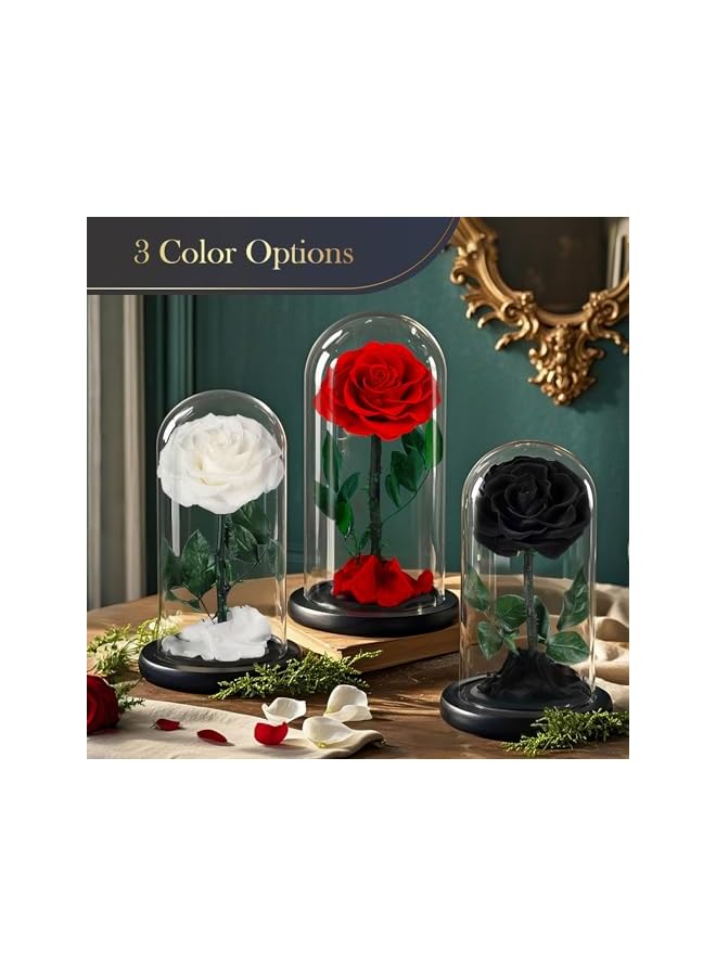The Bros زهور محفوظة ورود في قبة زجاجية، ورود حقيقية تدوم 5 سنوات، زهور للأبد للتوصيل غداً، هدايا للأمهات، هدايا ذكرى زواج أو عيد ميلاد للنساء، حمراء - Image 2