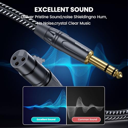 BlueRigger Premium XLR Pro Female to 6.35mm 1/4 TRS (32.8 Feet/10 Meters) Noise Free and Long-Lasting Cable for Microphone, AMP, Mixer, Studio Monitor - Image 2