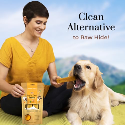 Dogsee Chew 100% Natural Turmeric Cheese Based Dental Chews Medium Bars (140 Gm) - Image 5