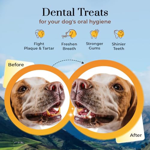 Dogsee Chew 100% Natural Turmeric Cheese Based Dental Chews Medium Bars (140 Gm) - Image 4