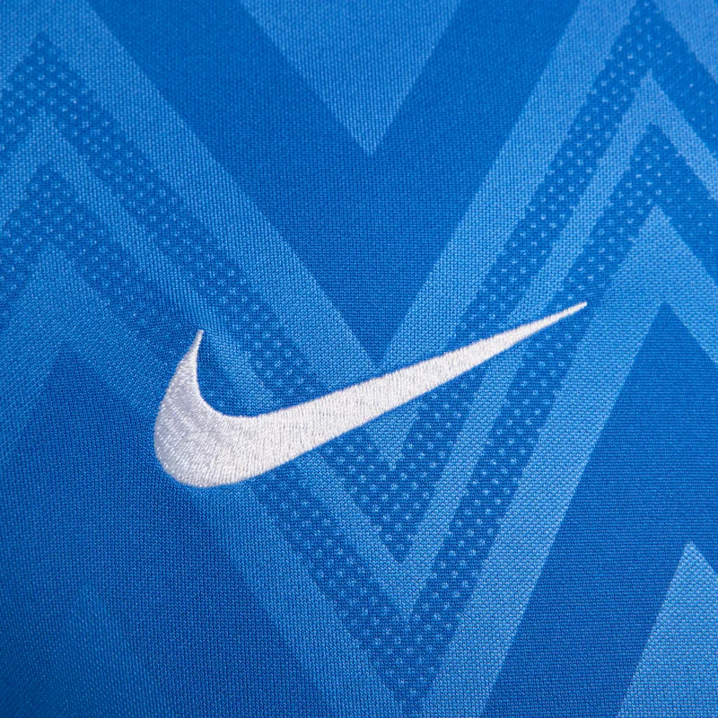 Nike Men's Dri-FIT Challenge Jersey V Soccer Jersey