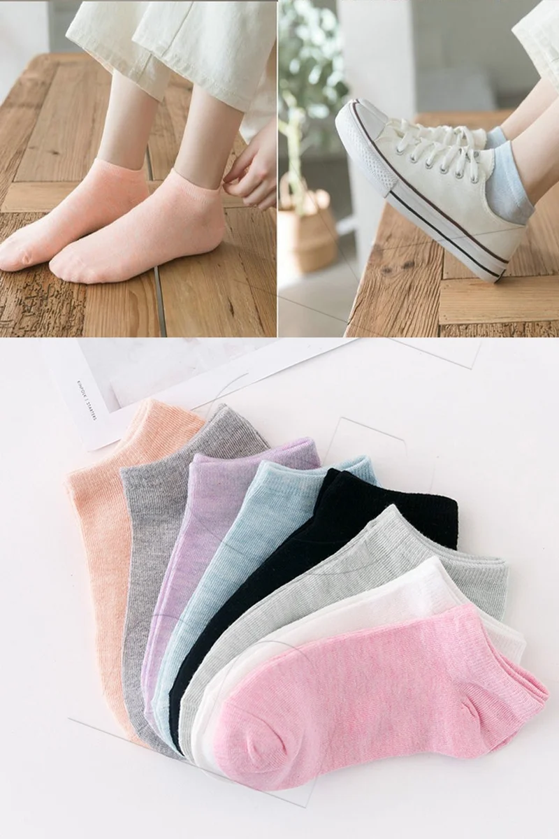 Bgk 8 Pack Women's Colorful Booties Socks