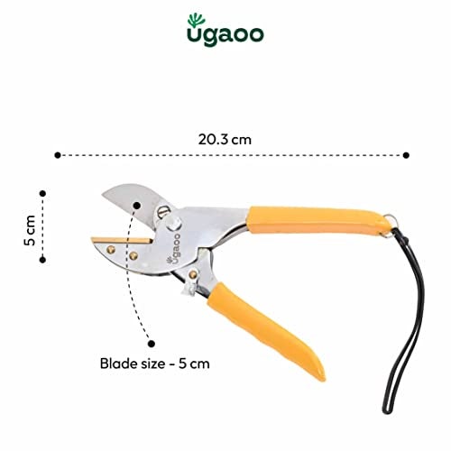 UGAOO Pruner Cutter Heavy Duty | Gardening Scissor | Plant Cutter for Garden | Pruners for Plants | Branch Cutter for Plants | Pruning Shears Tool | Wood Stem Cutting Accessory Home Garden Use - Image 5