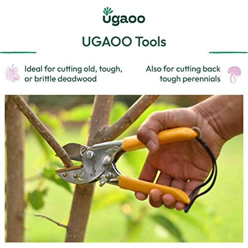 UGAOO Pruner Cutter Heavy Duty | Gardening Scissor | Plant Cutter for Garden | Pruners for Plants | Branch Cutter for Plants | Pruning Shears Tool | Wood Stem Cutting Accessory Home Garden Use - Image 2