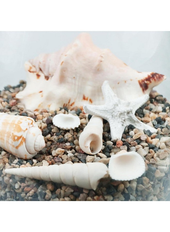 إيميلي بيتس رمل طبيعي، رمل سيليكا مختلط متعدد الأغراض لمواقد النار وأحواض السمك والمناظر الطبيعية، 9.9 كجم - Image 5