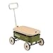 kidpop PULAWild 3in1 Kids PullAlong Wagon Toddlers Push Walker for 258 Removable Wooden Cover and Adjustable Handlebar Birthday Gifts Max Weight 33 lbs Green - Image 3