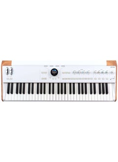 Arturia Astrolab Avant-Garde Stage Keyboard with Analog Lab Pro - pzsku/Z6EC01F853592E2559DECZ/45/_/1713769642/334a8cb3-5fd8-41ee-8c8b-194650fa2df5