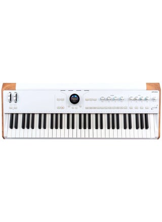لوحة مفاتيح مسرحية Arturia Astrolab Avant-Garde مع Analog Lab Pro - pzsku/Z6EC01F853592E2559DECZ/45/_/1713769642/334a8cb3-5fd8-41ee-8c8b-194650fa2df5