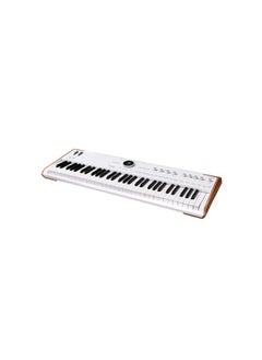 Arturia Astrolab Avant-Garde Stage Keyboard with Analog Lab Pro - pzsku/Z6EC01F853592E2559DECZ/45/_/1713769663/ddf671bc-8cb3-48b8-949c-4d74a3ca5d97