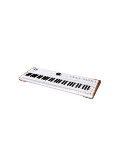 Arturia Arturia Astrolab Avant-Garde Stage Keyboard with Analog Lab Pro  - Image 4