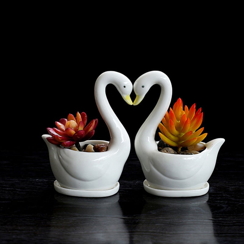 Ceramic Flower Pot Flower Meaty Flower Pot Ornament for Home Use with Base Without Plant (Swan) - Image 1