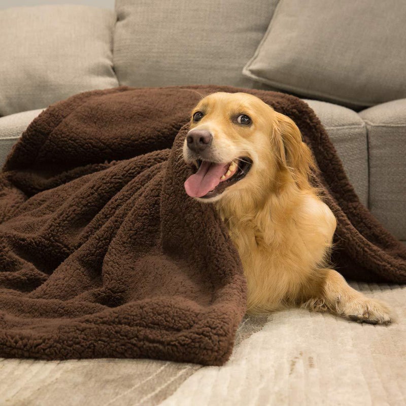Comfortable Plush Dog and Cat Blanket Cushion Sleep Mat Size Coffee - Image 1