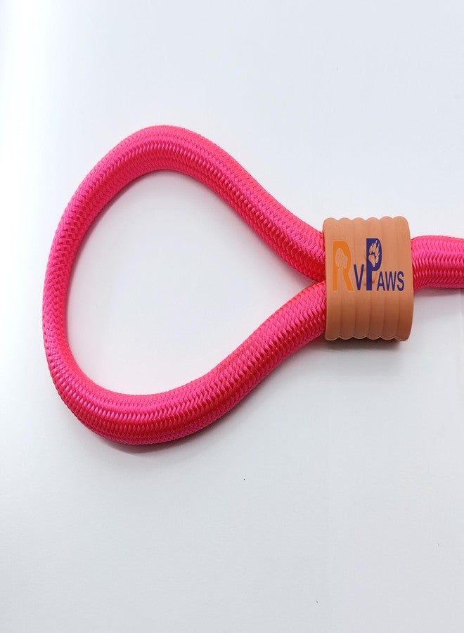 Pups&Pets طوق كلاب من Pups&Pets بطول 5 أقدام، ألوان سادة كلاسيكية، طوق كلاب من حبل نايلون قوي معزز بوصلة سلك مطاطي، مشبك فضي شديد التحمل، 12 مم (وردي) - Image 4
