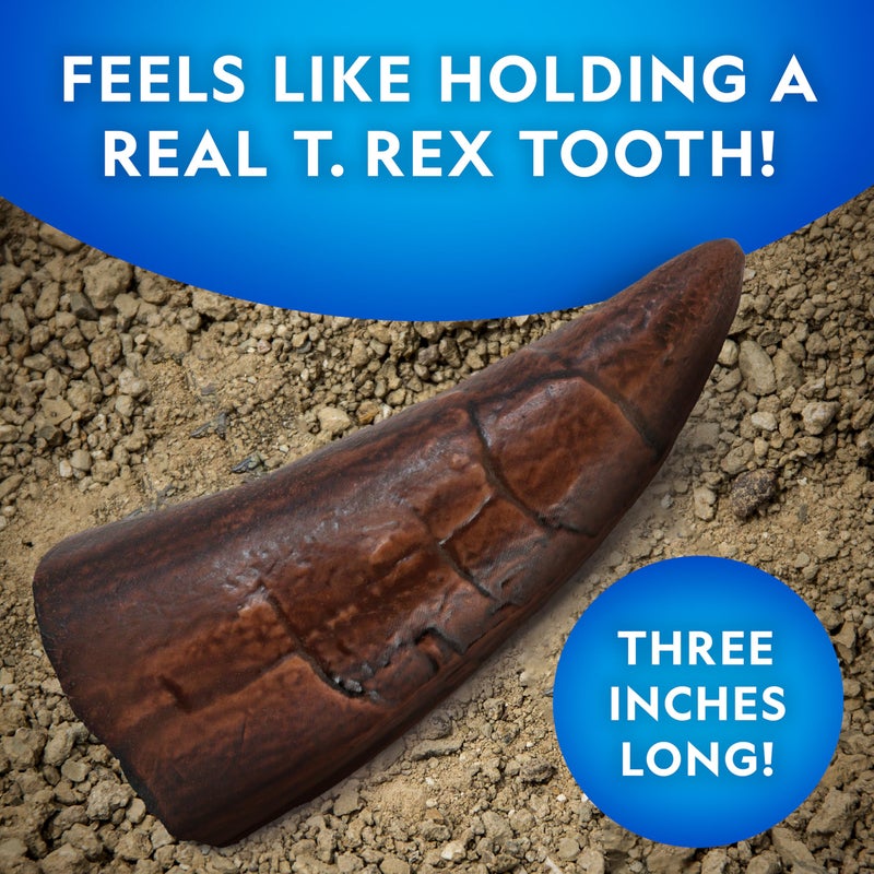 Blue Marble NATIONAL GEOGRAPHIC Dino Fossil Dig Kit & Dinosaur Book for Kids- Excavate a Replica Dinosaur Tooth Fossil and Study Paleontology with a Full-Color Dinosaur Activity Book for Kids (Amazon Exclusive) - Image 4