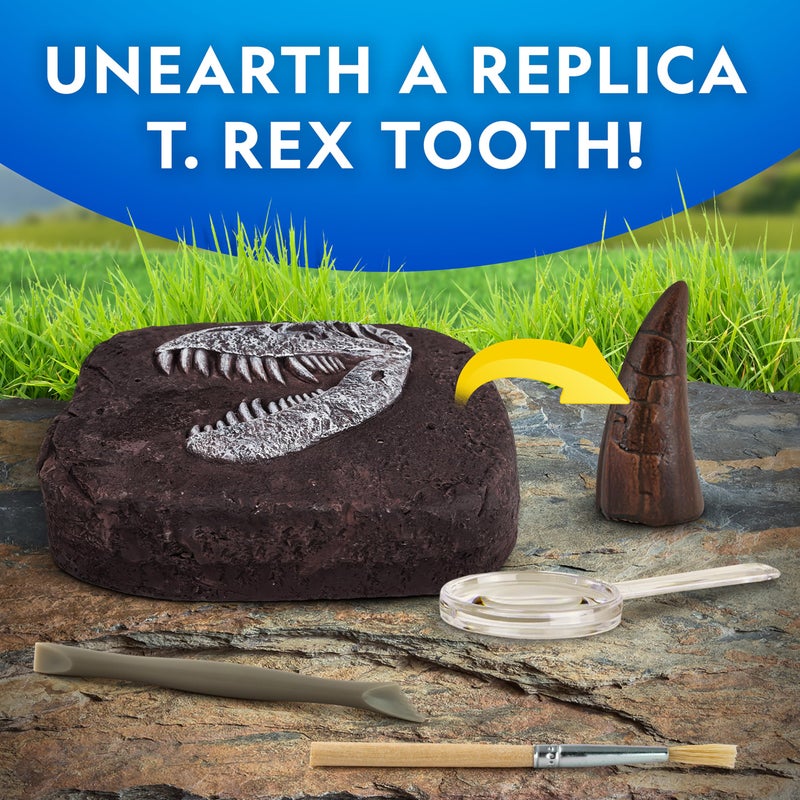 Blue Marble NATIONAL GEOGRAPHIC Dino Fossil Dig Kit & Dinosaur Book for Kids- Excavate a Replica Dinosaur Tooth Fossil and Study Paleontology with a Full-Color Dinosaur Activity Book for Kids (Amazon Exclusive) - Image 5