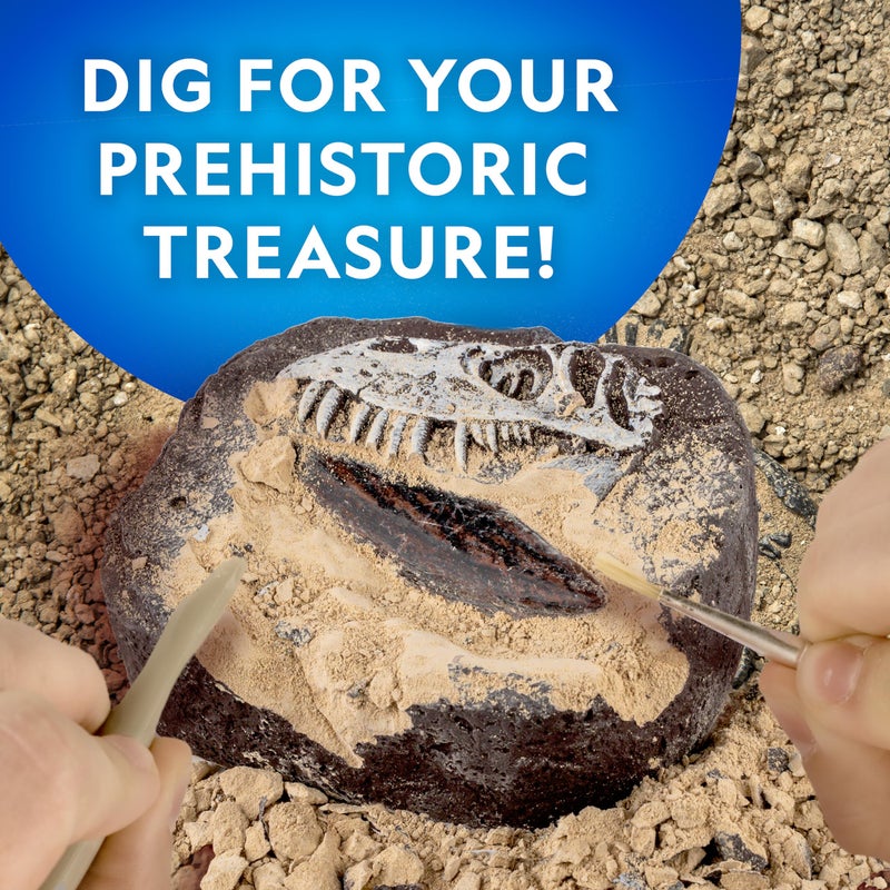 Blue Marble NATIONAL GEOGRAPHIC Dino Fossil Dig Kit & Dinosaur Book for Kids- Excavate a Replica Dinosaur Tooth Fossil and Study Paleontology with a Full-Color Dinosaur Activity Book for Kids (Amazon Exclusive) - Image 2