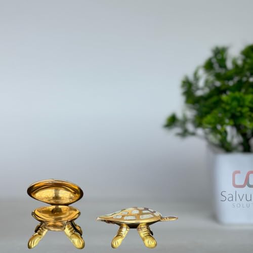 Salvus APP SOLUTIONS Brass Made Wish Fulfilling Tortoise/Turtle - Feng Shui Charm for Home Décor, Positive Energy, and Prosperity (White & Golden_3.5 Inch) - Image 1