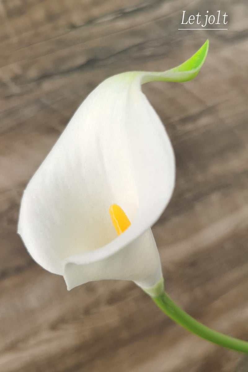 Letjolt Artificial Calla Lily White Flowers 12Pcs Fake Flower Bouquet for Home Decoration Wedding Party Decor, Yellow White - Image 4
