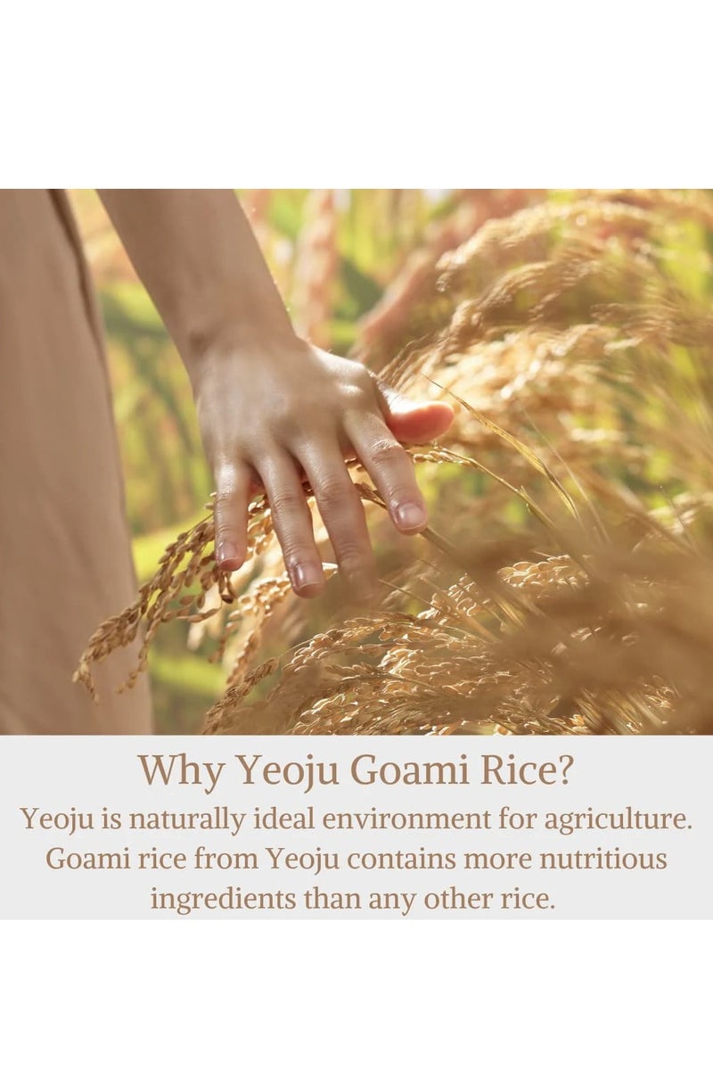 I'm From Miniatures of Rice Toner 30ml | Mugwort Essence, Fig Boosting Essence, Travel Essentials, Stocking Stuffers - Image 3