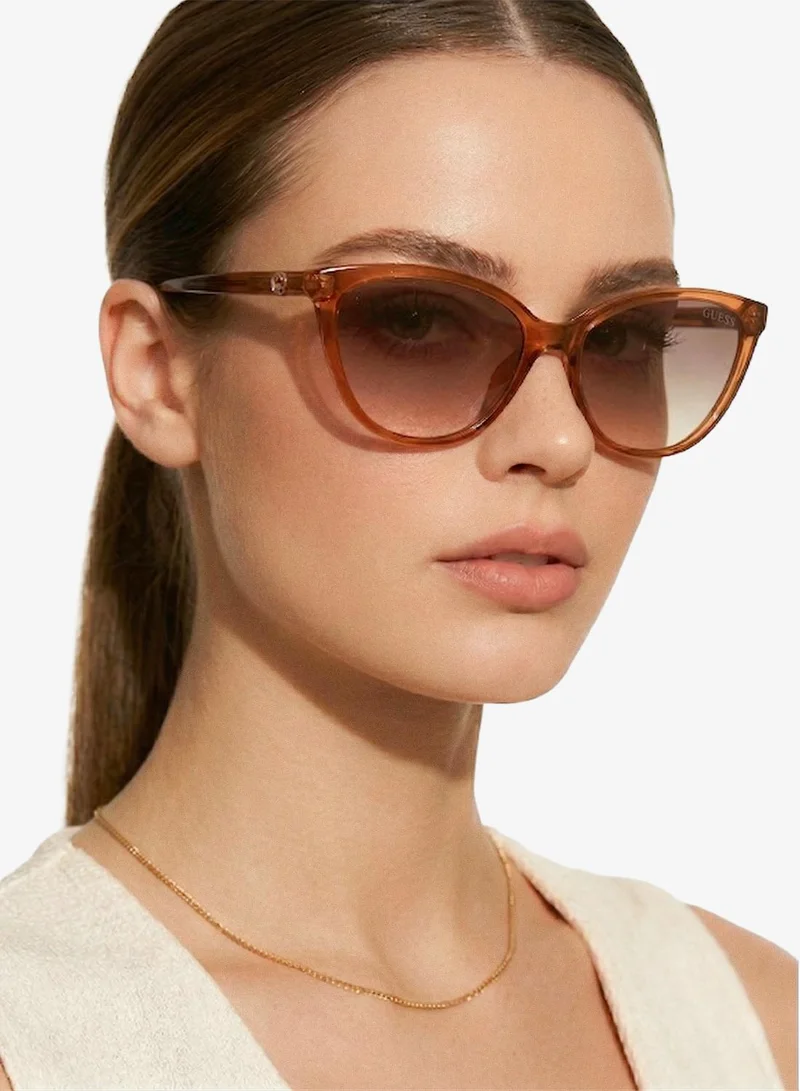 Guess  wayfarers sunglasses for Women | Best Price UAE
