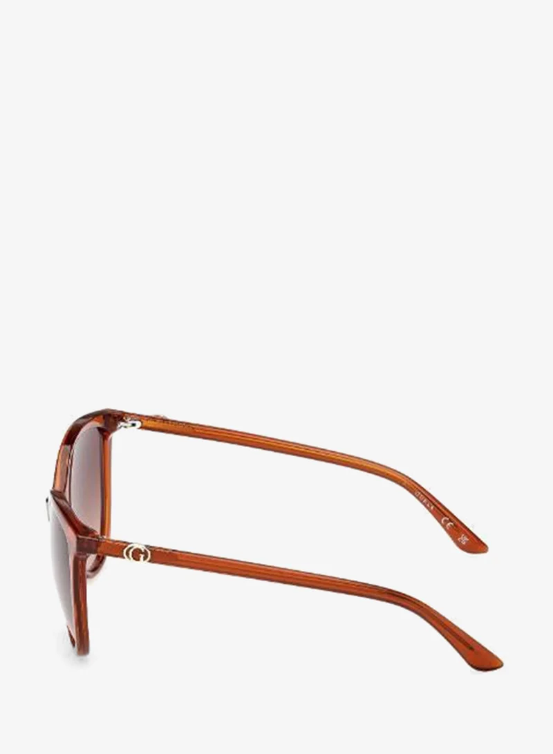 Guess  wayfarers sunglasses for Women | Best Price UAE