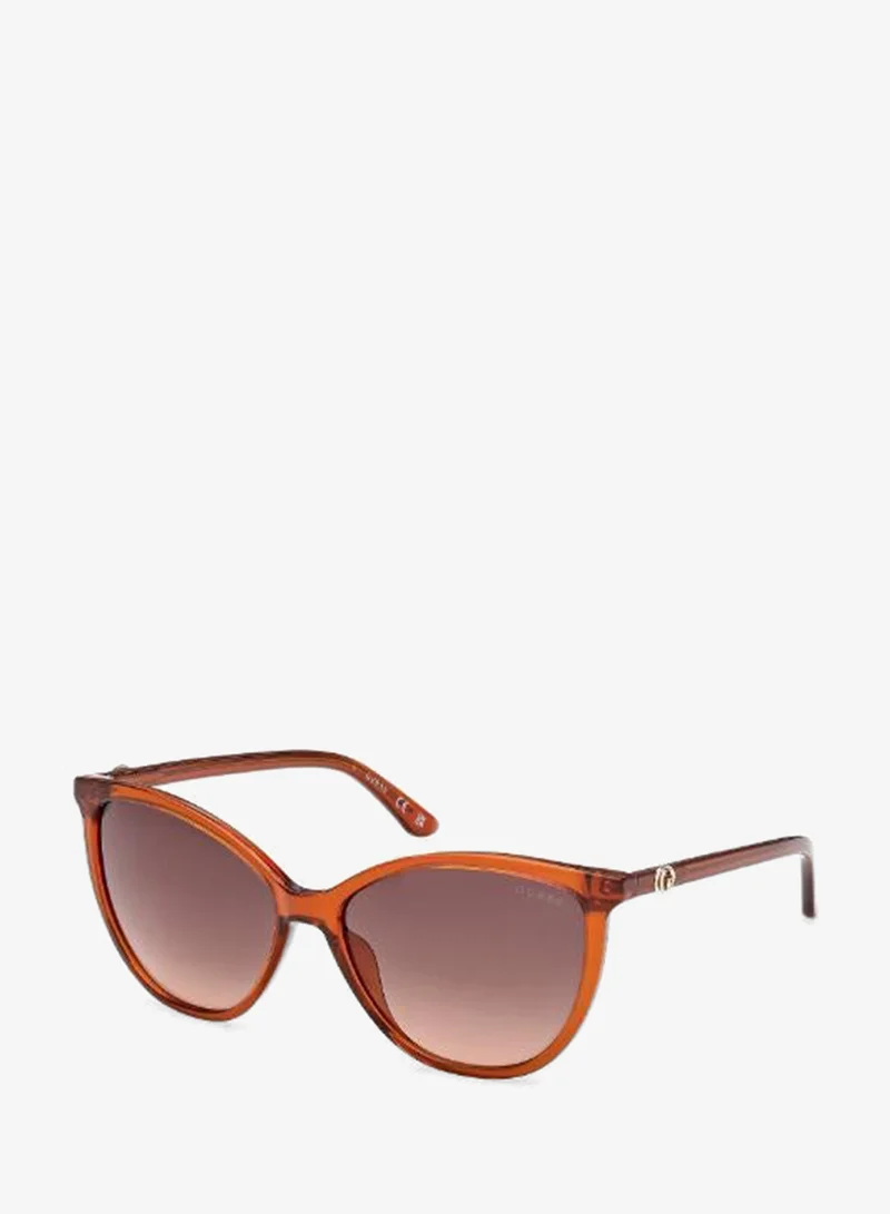 Guess  wayfarers sunglasses for Women | Best Price UAE