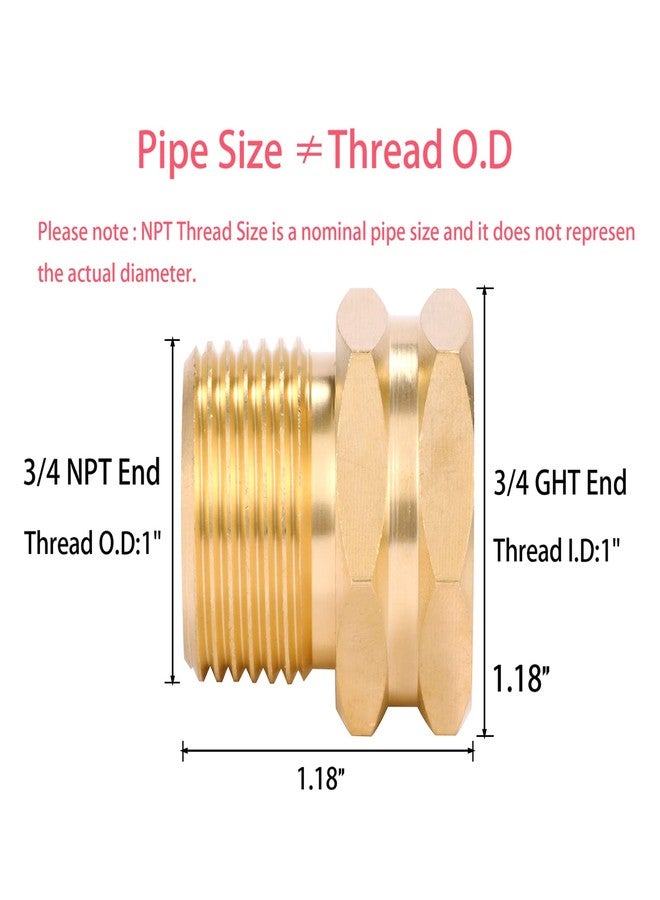 Sanpaint 2 Pack Brass Garden Hose Adapter, 3/4" GHT Female x 3/4" NPT Male Connector,GHT to NPT Adapter Brass Fitting,Brass Garden Hose to Pipe Fittings Connect - Image 2