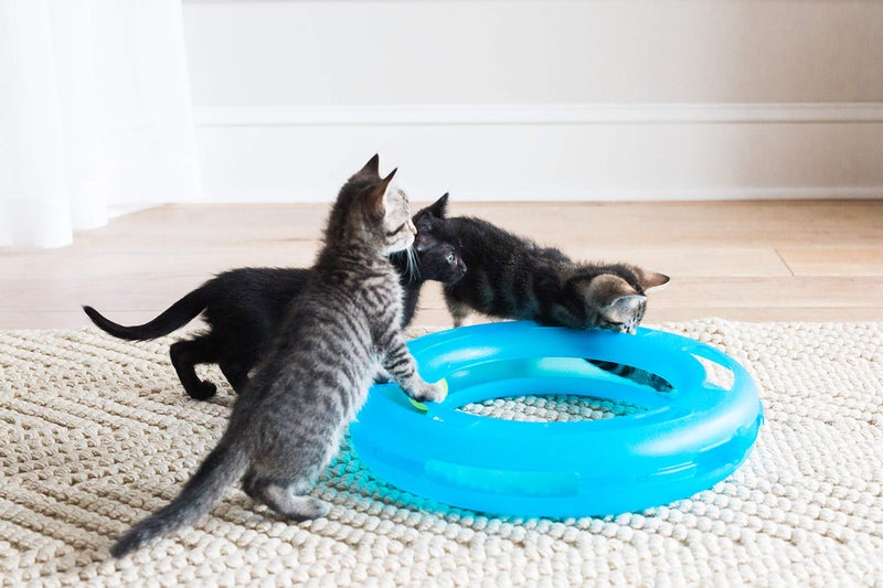 Petmate Fat Cat Crazy Circle Interactive Cat Toy - Image 3