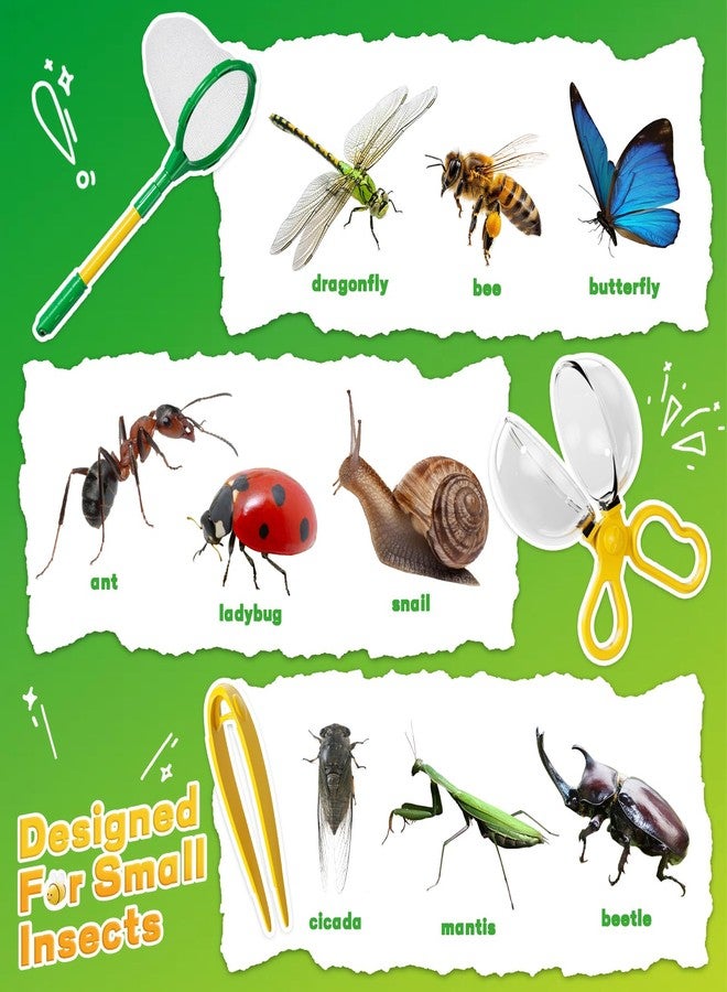 Novaluki Bug Catcher for Kids - 10 PCS Outdoor Explorer Set Toys with Butterfly Net and Bug House, Educational Adventure Kid Toys for Kids Ages 3 4 5 6 7 8, Nature Gifts for Kids on Birthday Holiday - Image 5