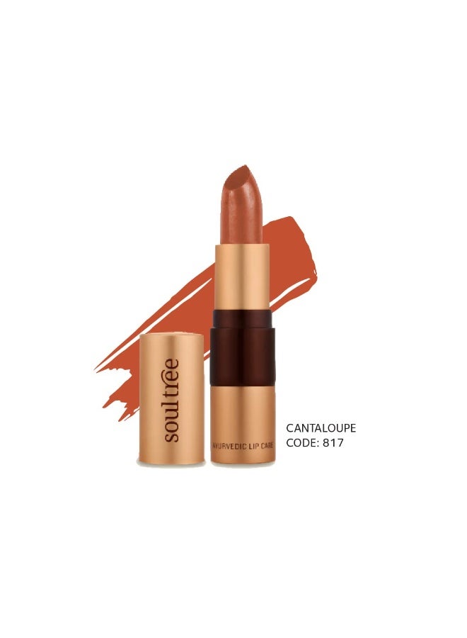 SoulTree Ayurvedic Lipstick - Cantaloupe 817, 4gm | Creamy Texture | Enriched with Organic Ghee & Almond Oil | Moistured & Nourished Lips | 4gm - Image 3